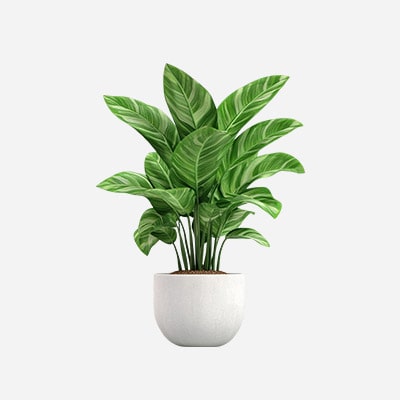 Cầu thang hộp thông minh giường tầng CASA GT146